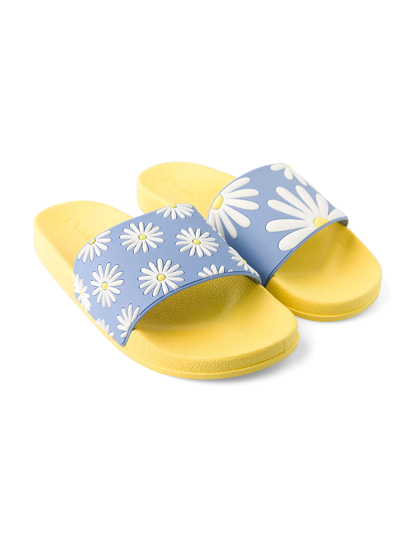 slides-sunny-daisy-1-e4/e4002ce16dc314cb64a33b94a3e3e1aeea347f19