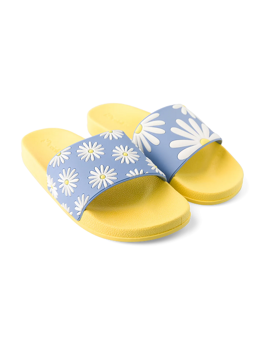 slides-sunny-daisy-1-e4/e4002ce16dc314cb64a33b94a3e3e1aeea347f19