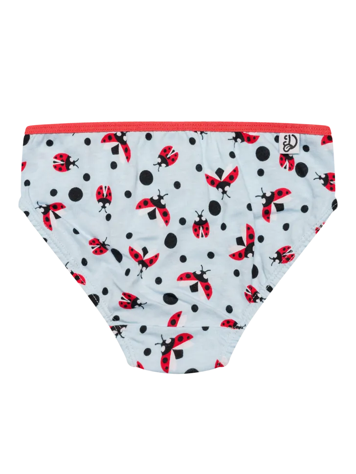 girls-briefs-ladybugs-dots-67/676cba200a5911a57457e2f5cb7daaa0d9db2f98
