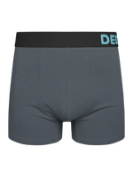 Calzoncillos básicos alegres Gris