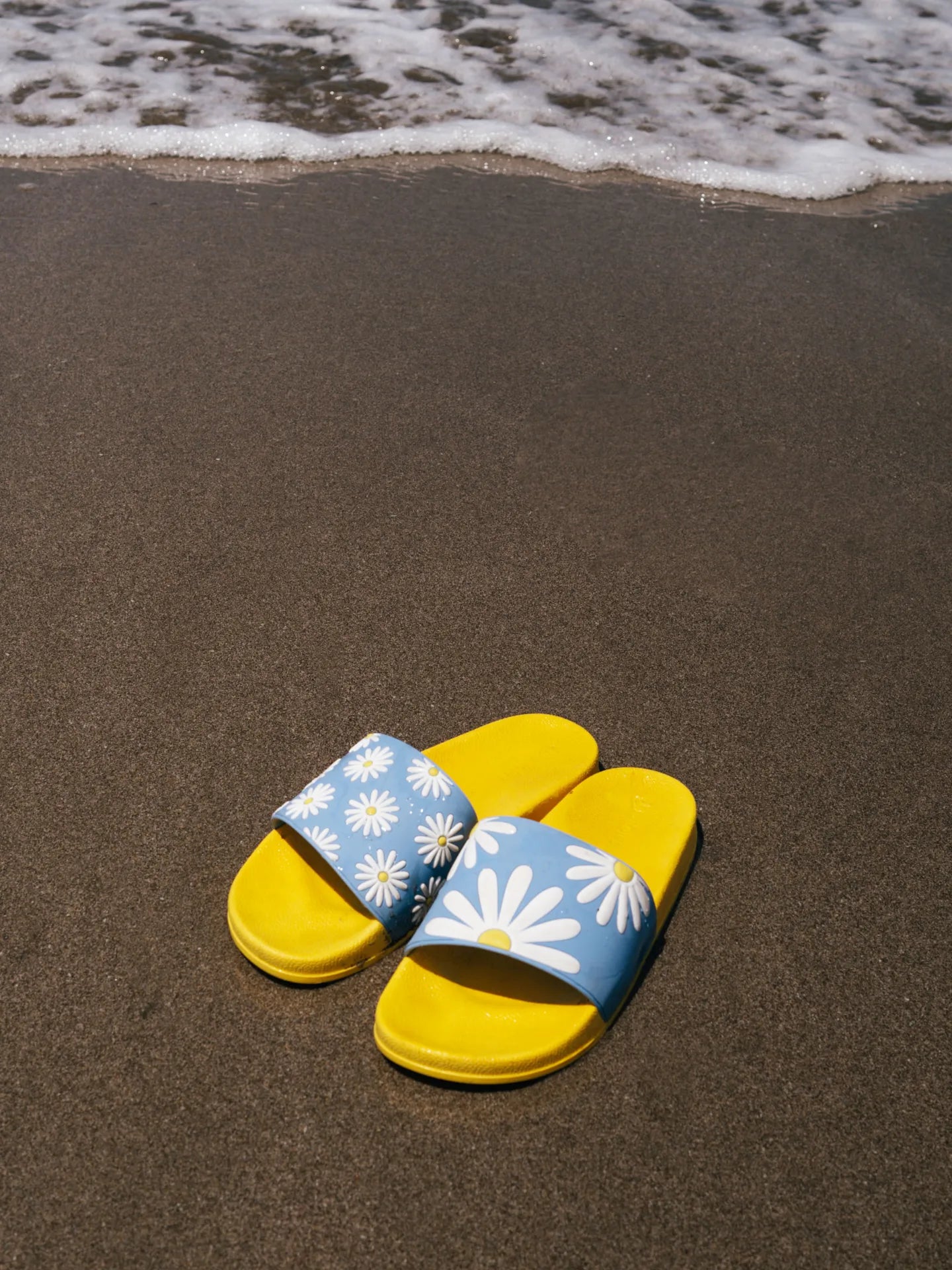 slides-sunny-daisy-1-81/8122fd2f6b699d9e77dfaf1e069d12479ab51bda