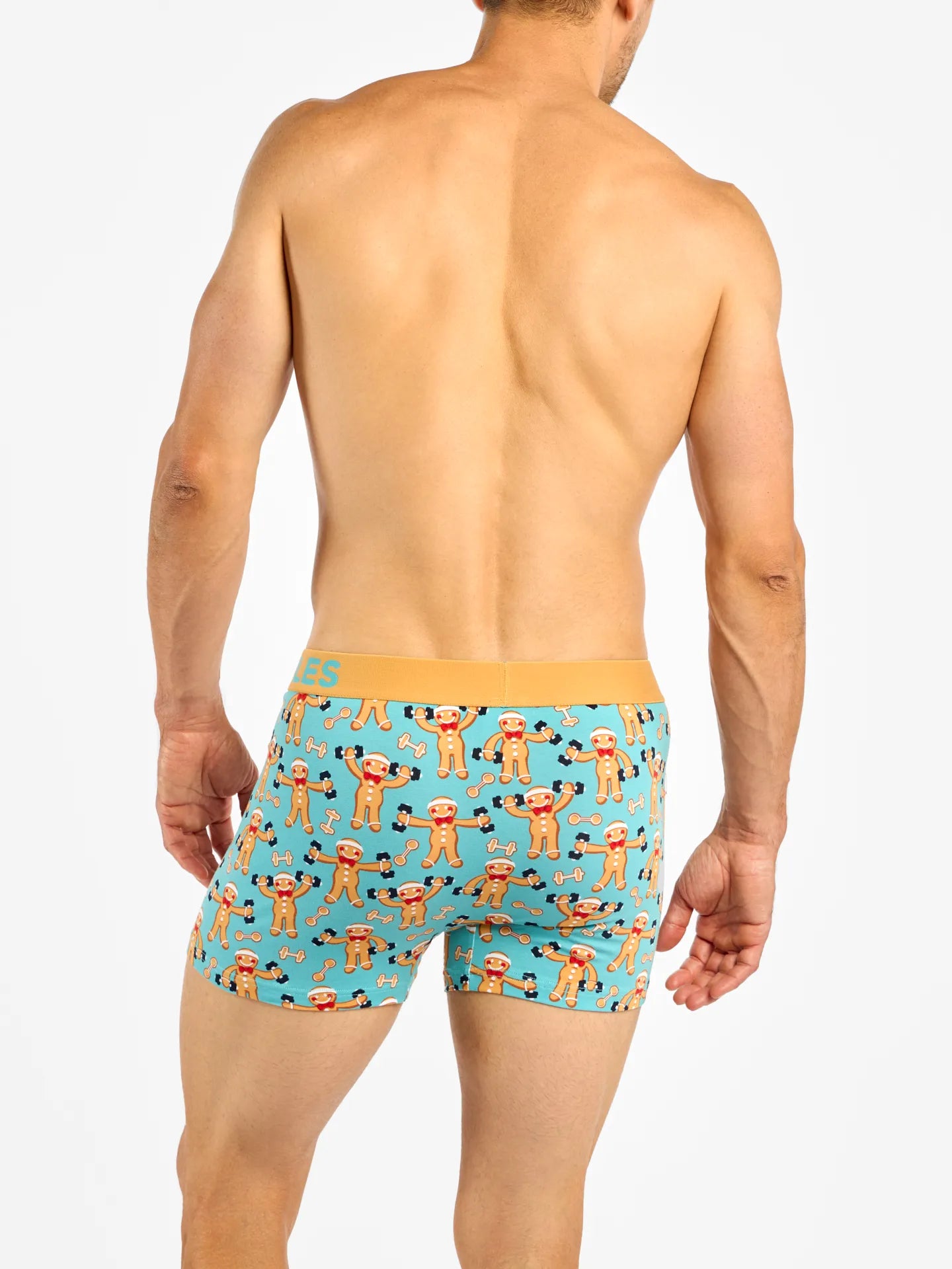 mens-trunks-christmas-calories-6b/6b841283e1cf123262043fe1cf9227332f8c2304