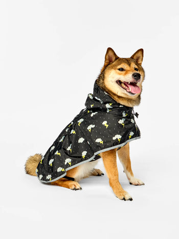 Impermeable para perro Tormenta