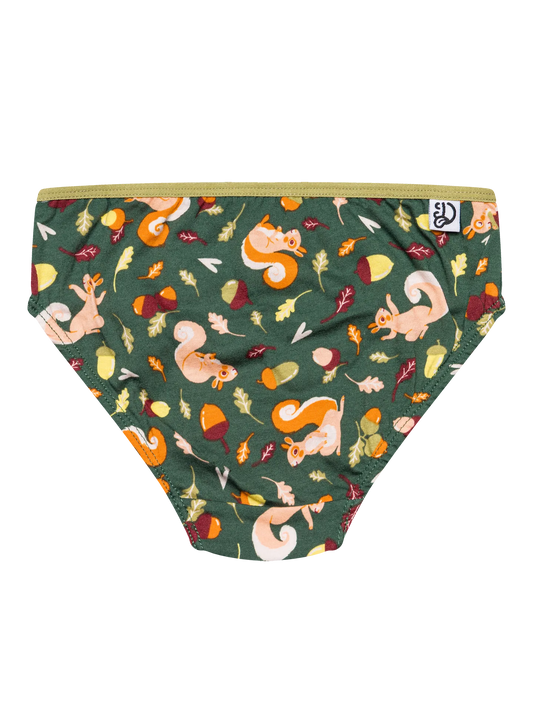 girls-briefs-squirrel-78/783f58fd4a62414a876e526cc4dd071d1ef9b5fd