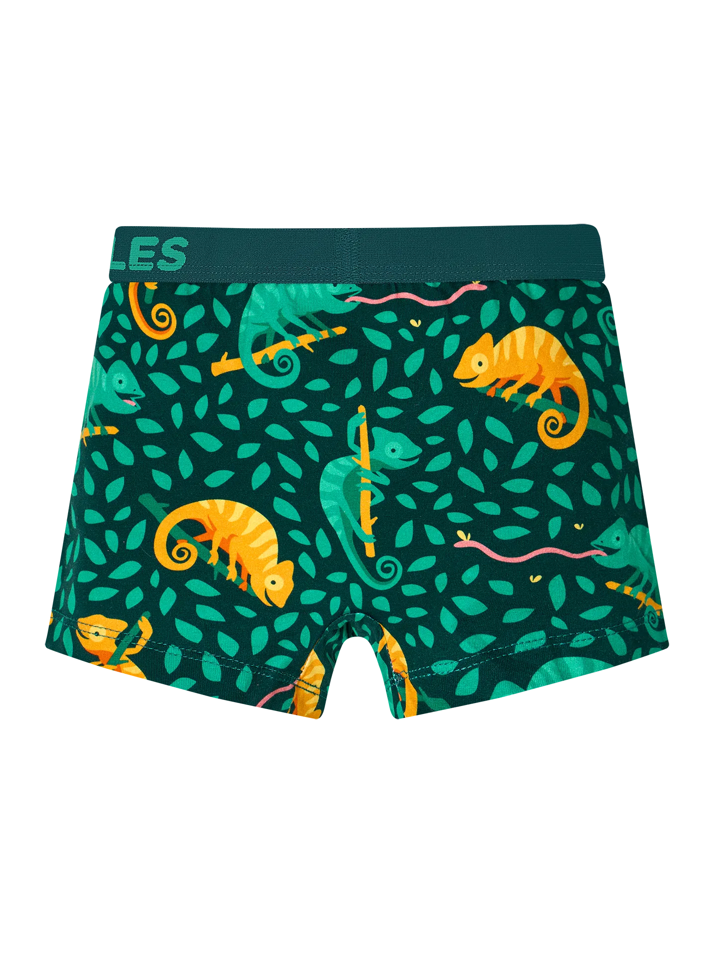 boys-boxers-hunting-chameleon-59/599cf930dd6930705069db652c962425fde074e6