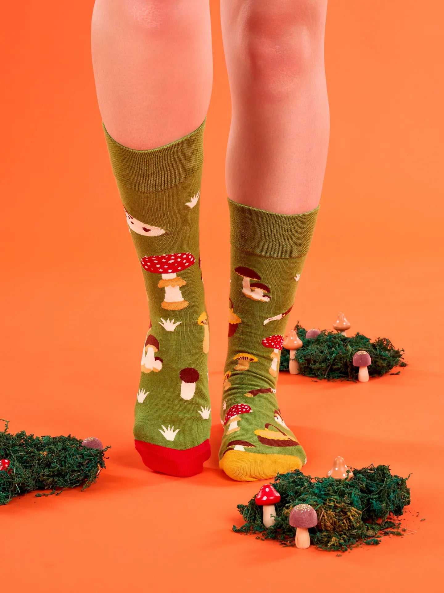 regular-socks-mushroom-hunting-02-70/70f8ef4d6ff6e39938ef201954d7242e9079c4b6