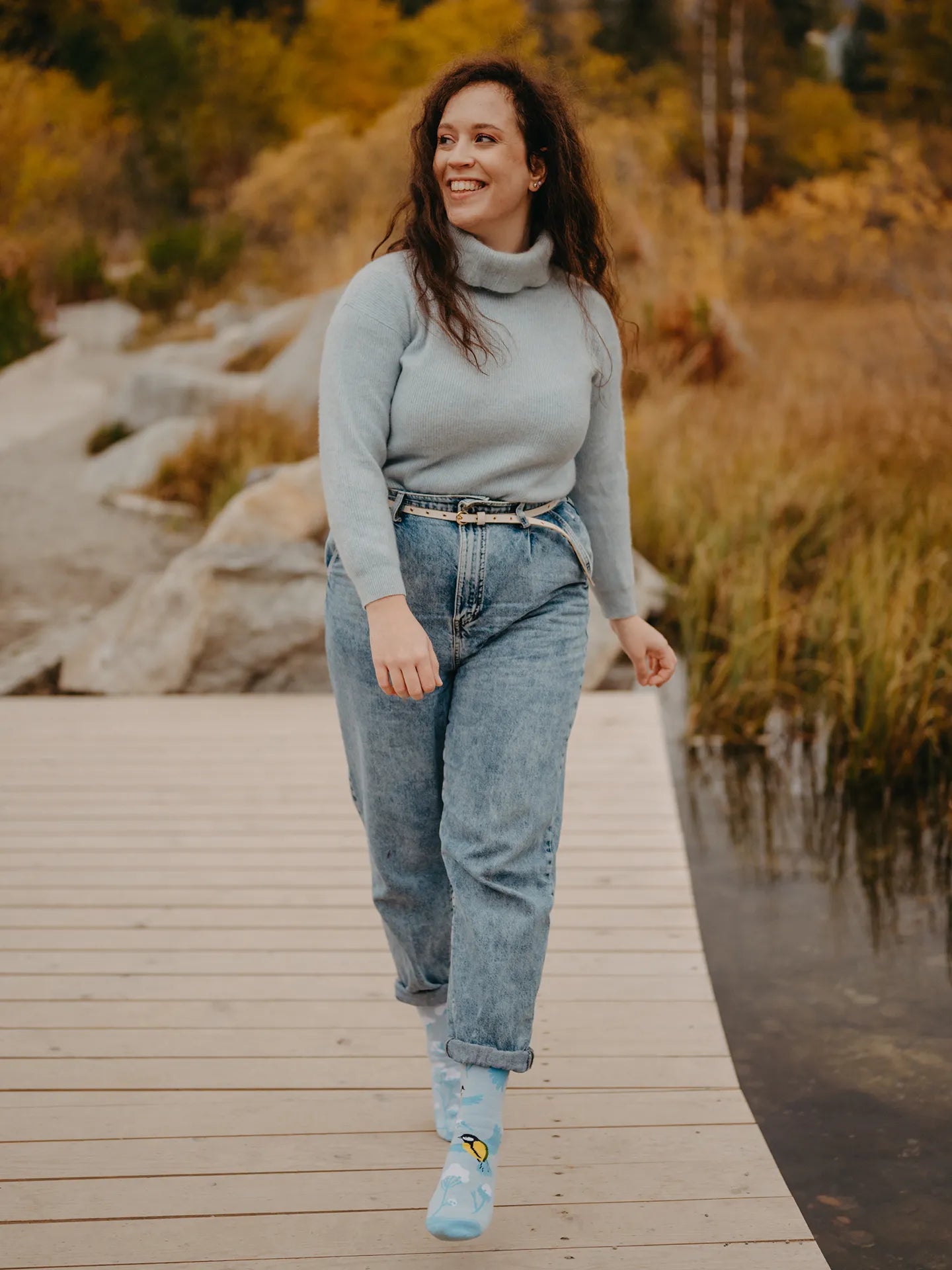 warm-socks-winter-bird-1-16/16f047a9582cb4d2674536dd887c0e82fb1a10bd