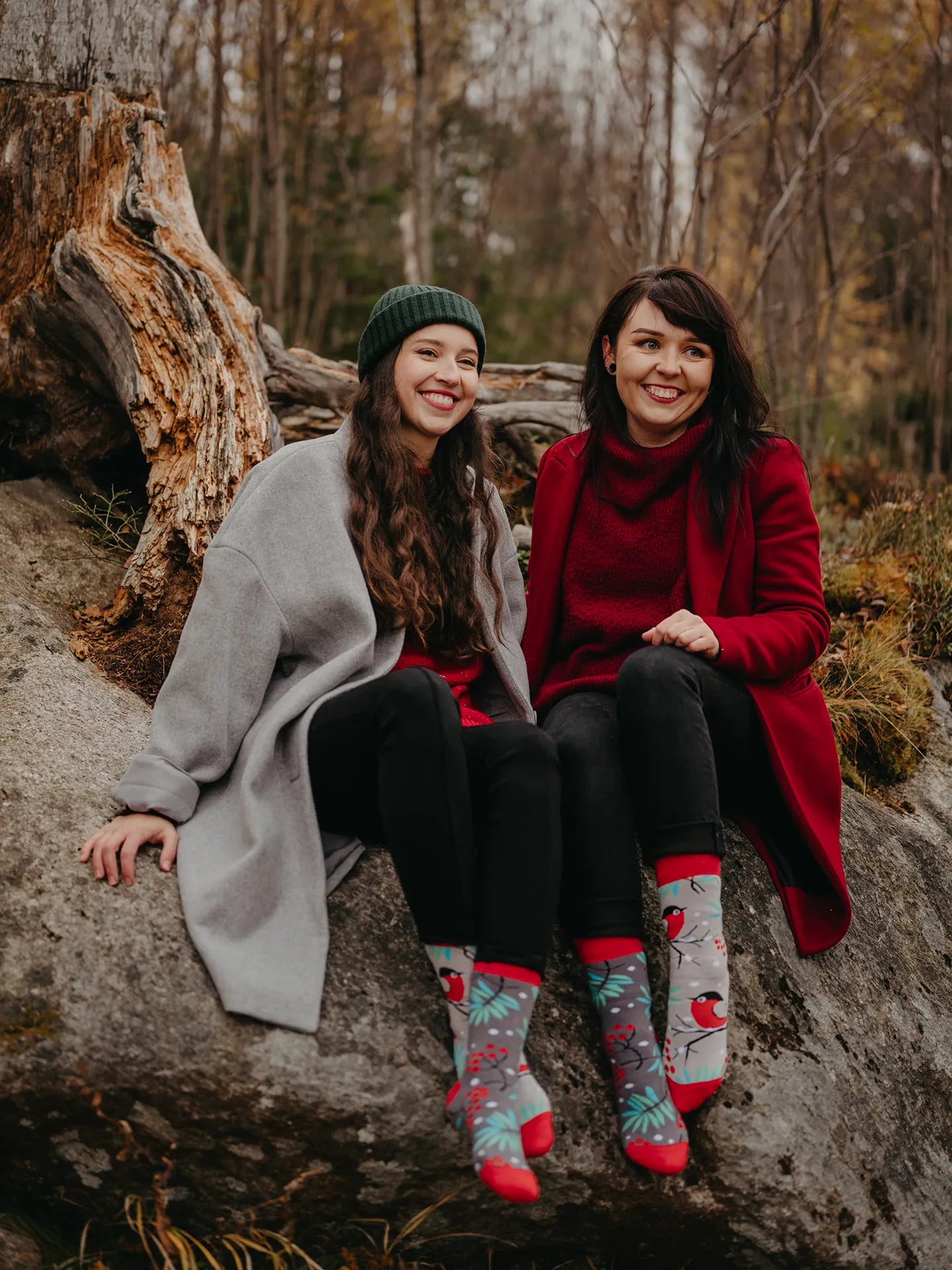 warm-socks-red-bird-1-e0/e05e39aa236745e4a9f37045747fec51d554d612
