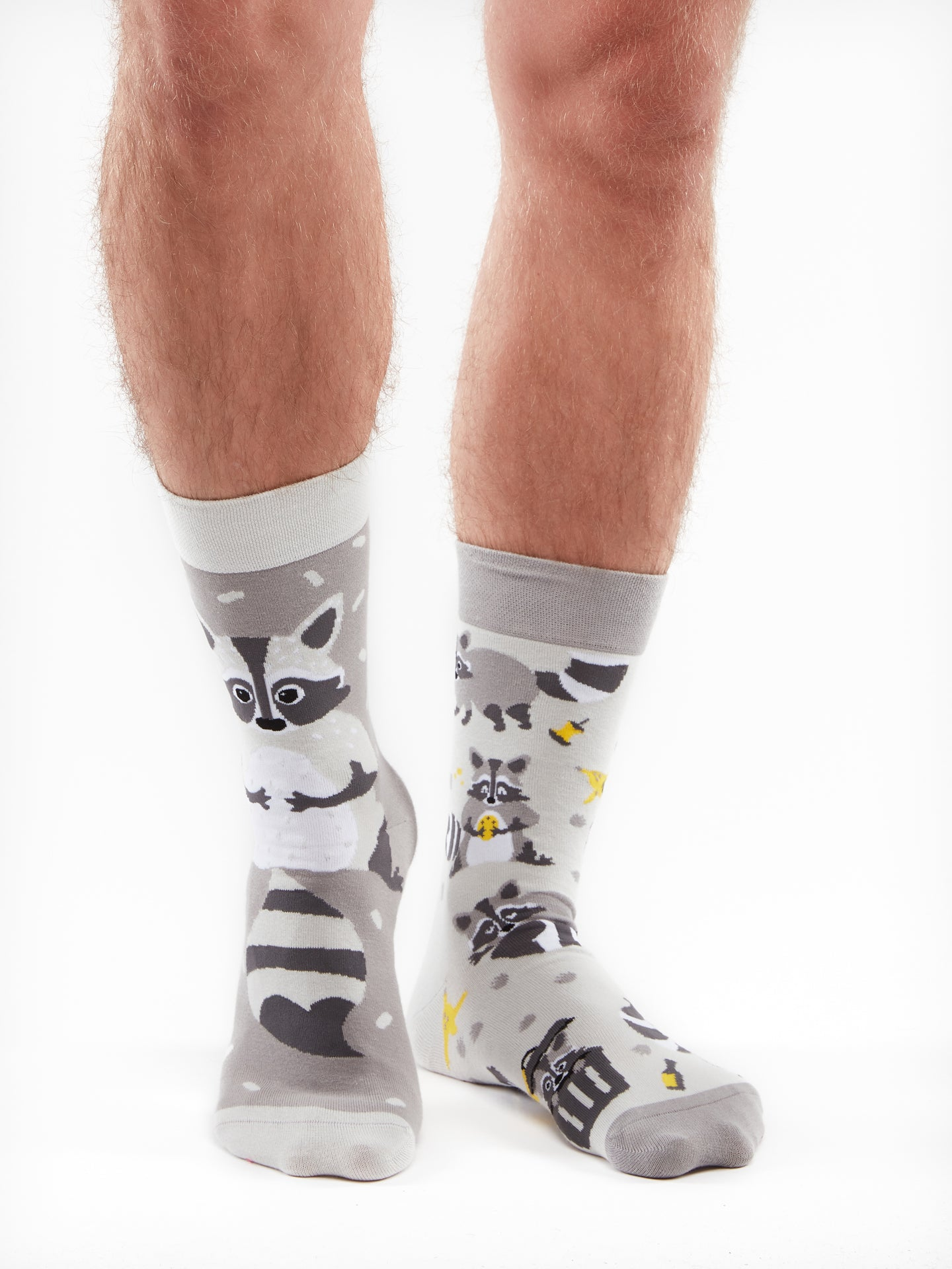 regular-socks-racoon-02-c0/c0ef0fcf2a454b67b6231ec71b3c954d5302777e