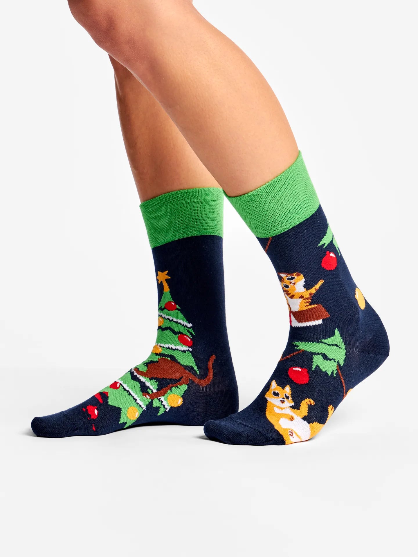 regular-socks-cat-party-49/495c51b15230b9a435a9a8561f122c985a33ed05