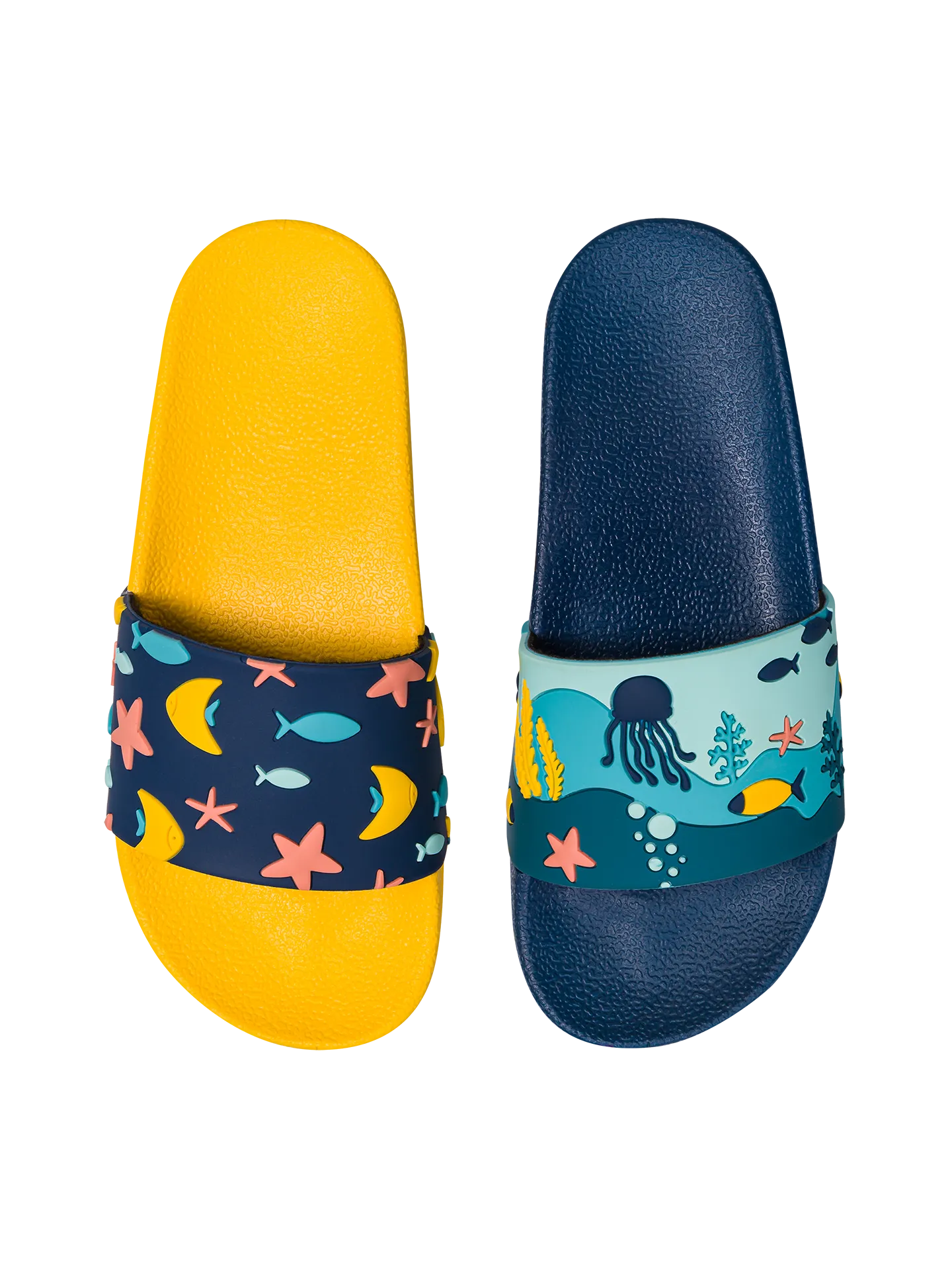 kids-slides-coral-world-d5/d5b39ec7501165b389263848a285554b4eaf10b2