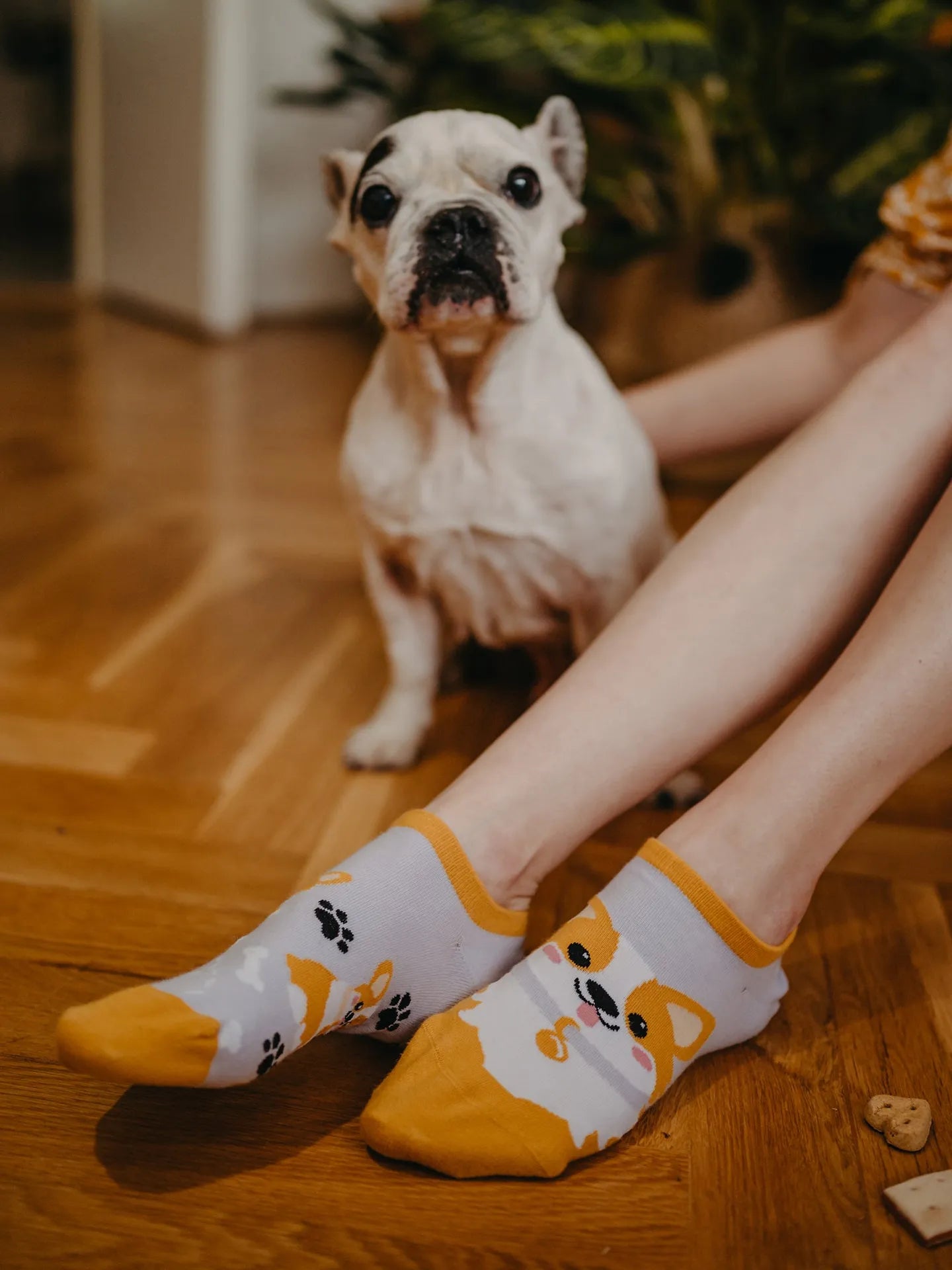 sneaker-socks-corgi-dog-okt-d1/d16d706ae6542cb32d3400ff93cea3ae5996edec