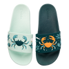 Chanclas alegres Cangrejo de mar