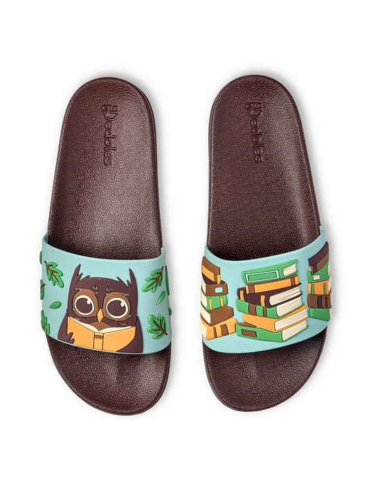 slides-owl-books-a8/a81ebe85b7f1061eb25837923a565751d600bd79