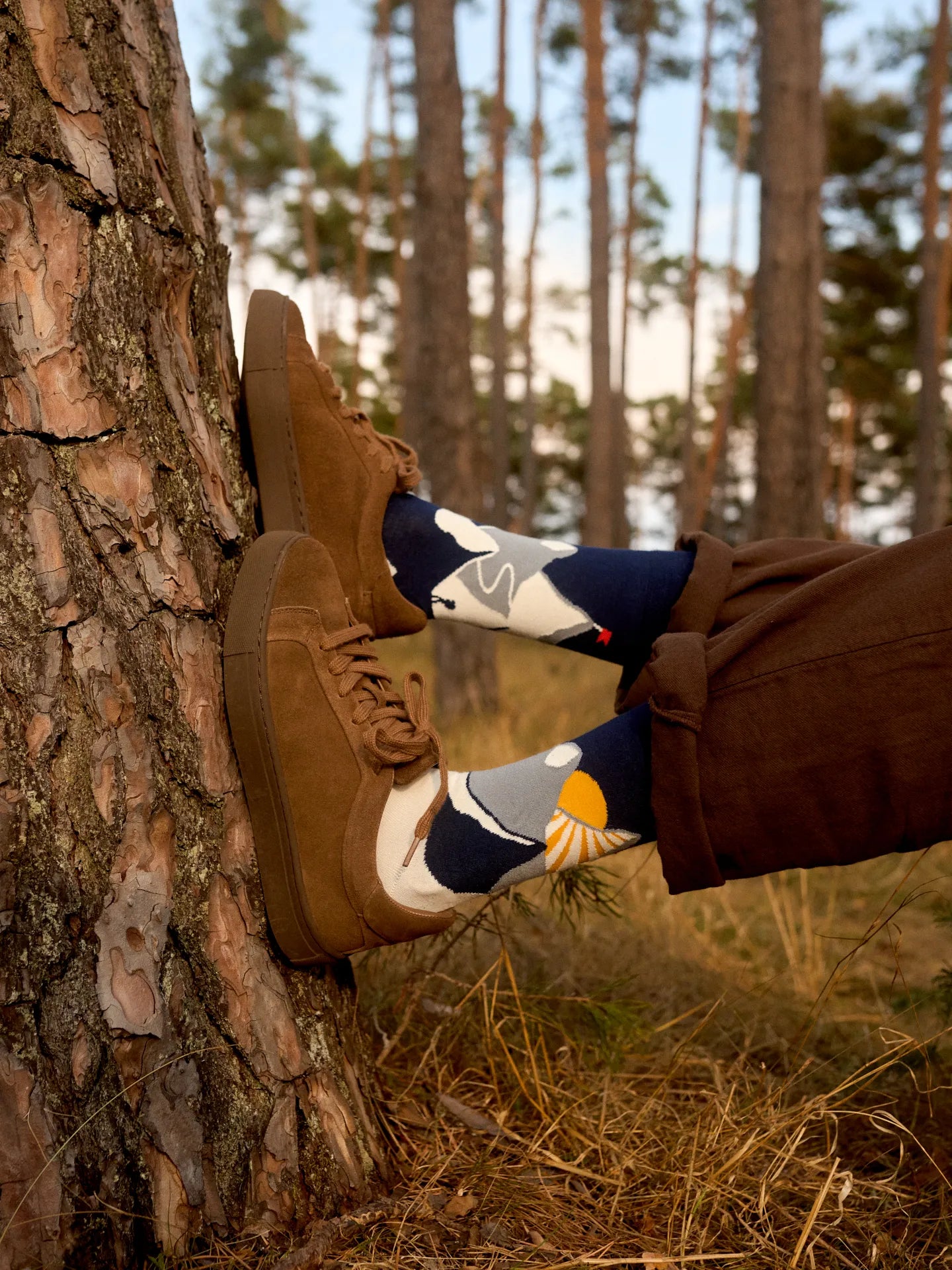 bamboo-regular-socks-mountain-sunset-okt-c9/c9b1deb542b0b2b069d86966fbd7fbdca7e4e847