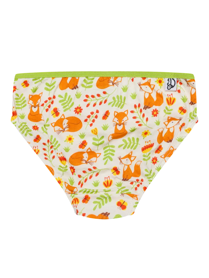 girls-briefs-fox-butterflies-ec/ecc94533fc63e31702355012290a1387893360a1