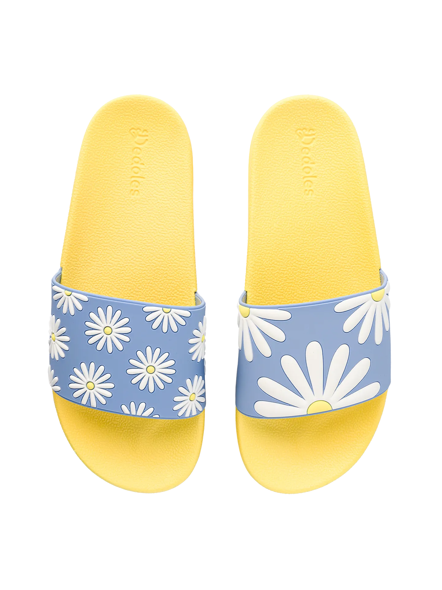 slides-sunny-daisy-1-bc/bcaf2f5e6a8b2d07e6b63eab9236c642730bc4b9