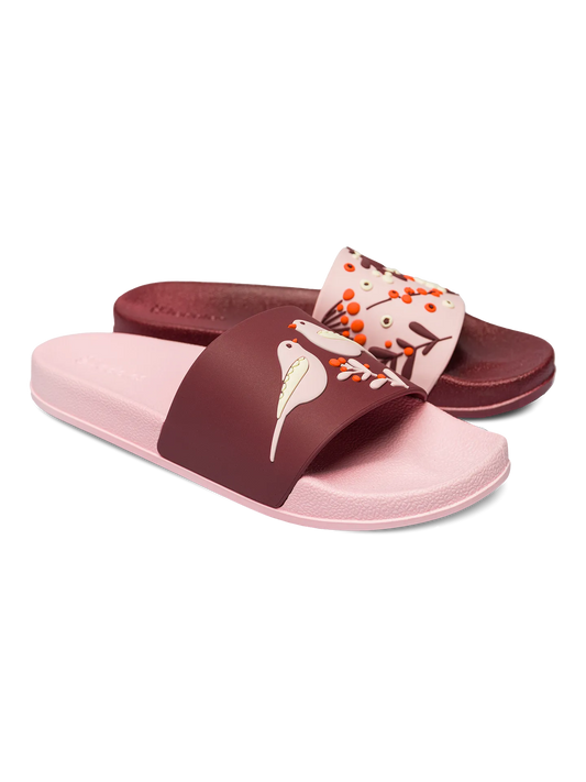 slides-birds-berries-f9/f9e30be02e390b62939a2af47571a1dc8001462a