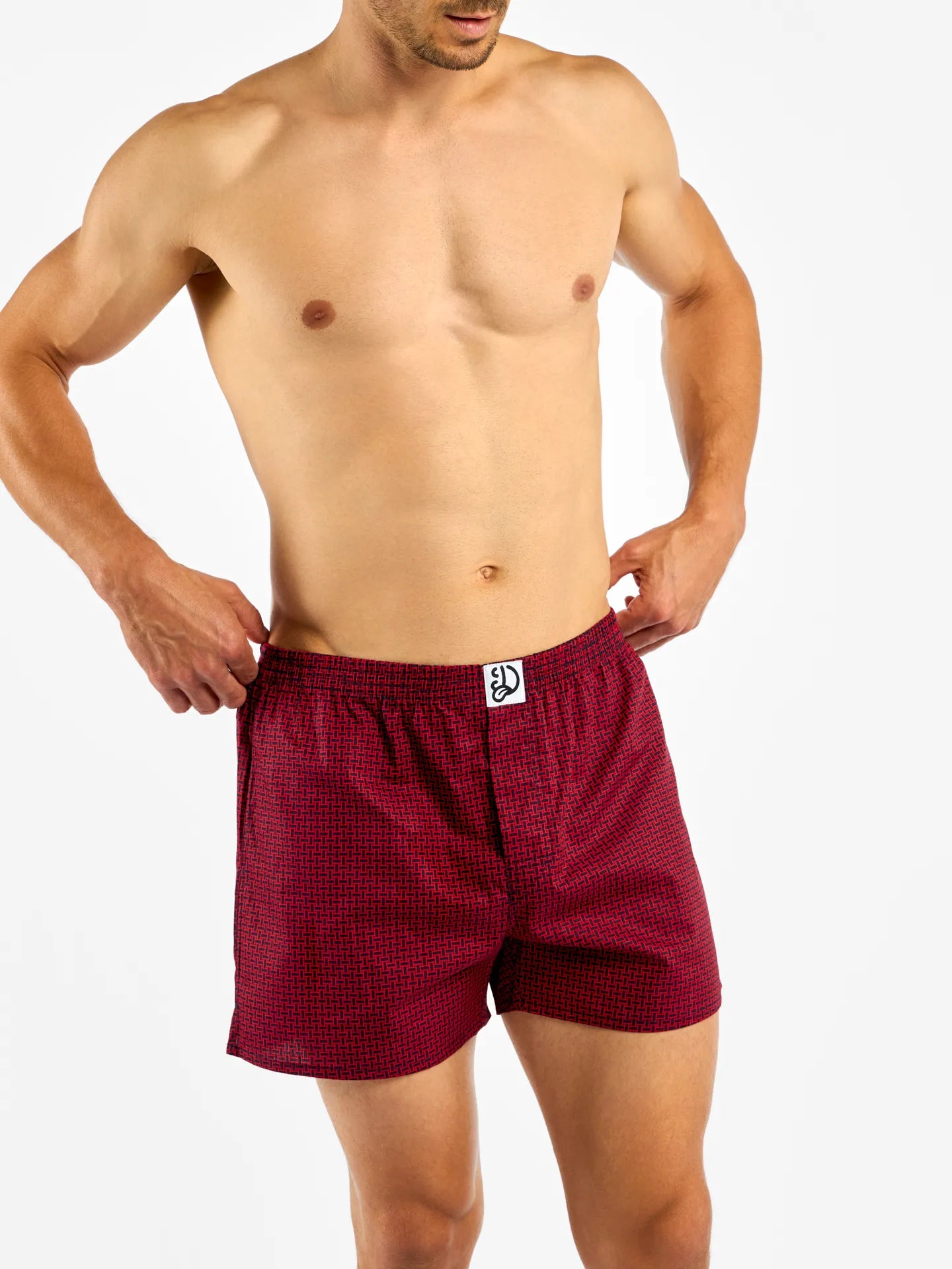 blue-red-mens-pattern-boxer-shorts-okt-e2/e2f065d06f3df97b4f14f377783d0145934c5008