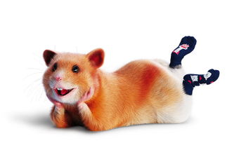 mascot