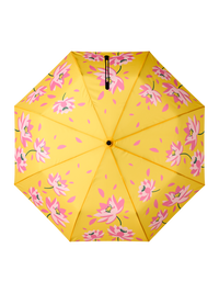 Umbrellas