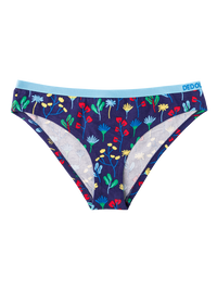 Briefs
