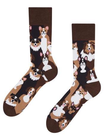 Calcetines alegres Perritos
