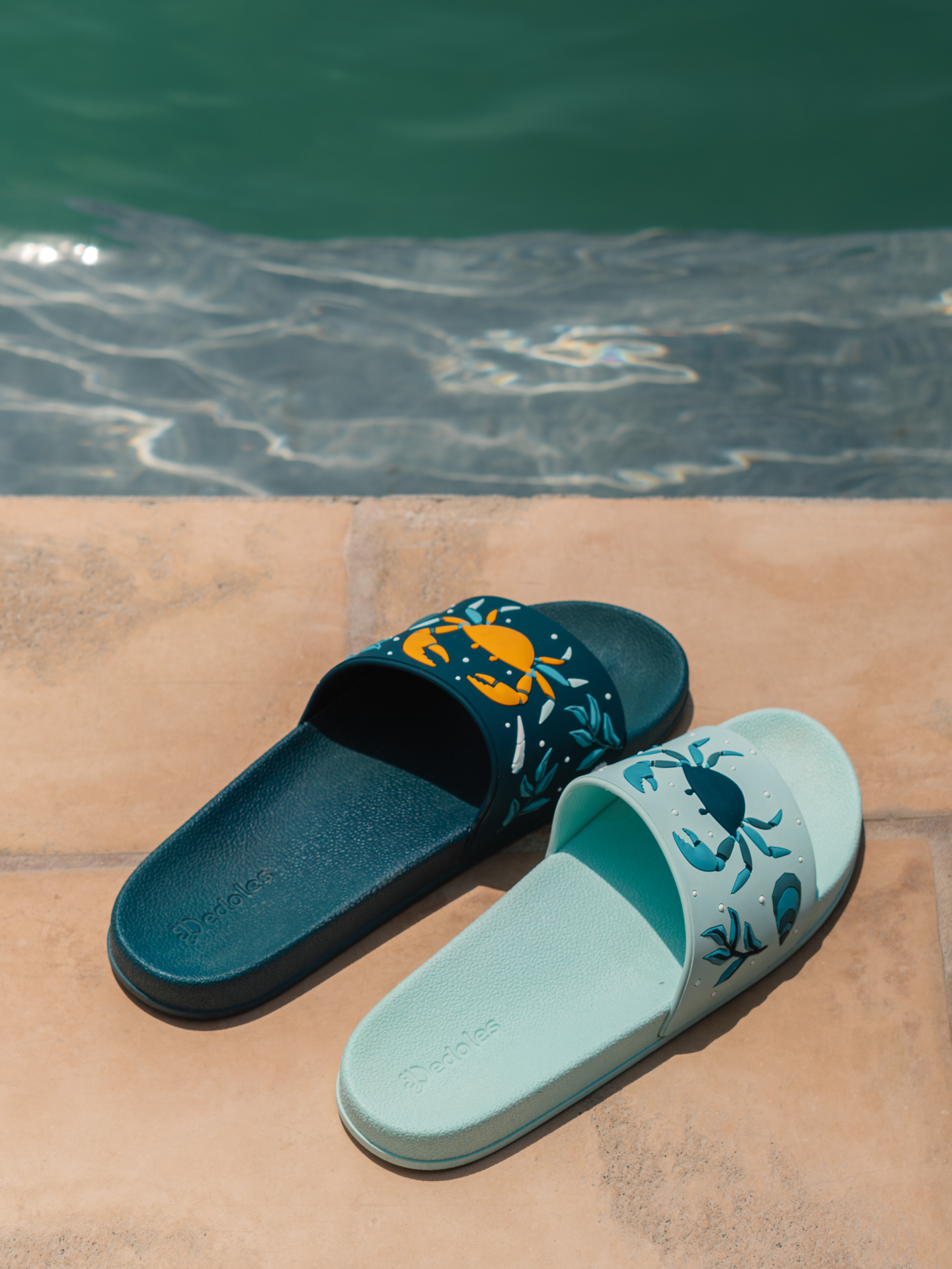 Chanclas alegres Cangrejo de mar