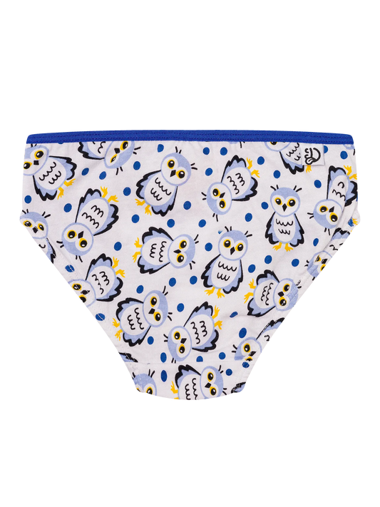 girls-briefs-snow-owl-f1/f1a3acc1f5a5536dbee51016de126475245e18df