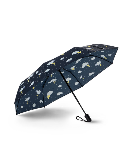 umbrella-storm-bb/bb08b78259def91080333777669a8f19c31f6afa