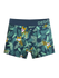boys-boxers-tiger-19/19fcd09e625455f1c01149e923187e5ad3154a63