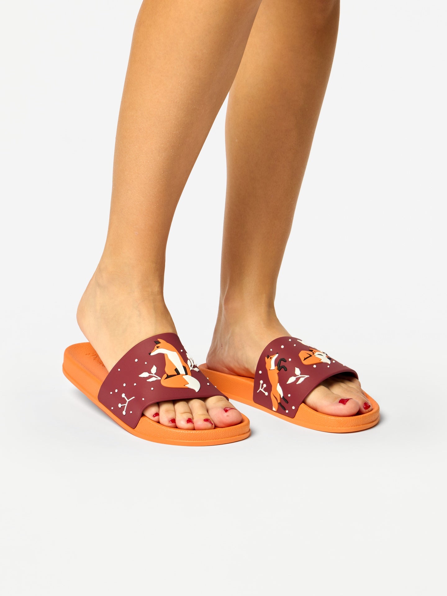 slides-fox-leaves-93/93da4d38d7ac4be6a4957fdf2650e38ace8b1310