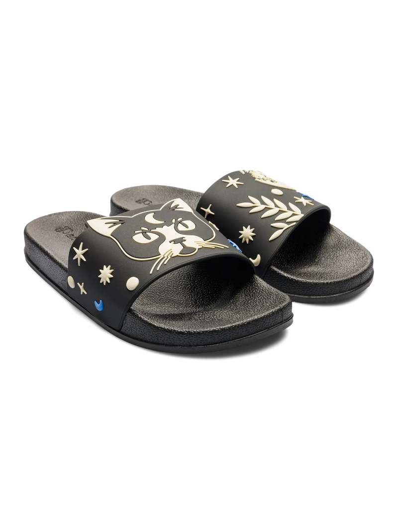 slides-cat-moon-25/256f355d383842b956356b6bdcdbb3353a8b67c2