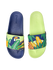 slides-toucan-leaves-27/27cde7ec5fe2b5798e4dade6adbbe403a5841578