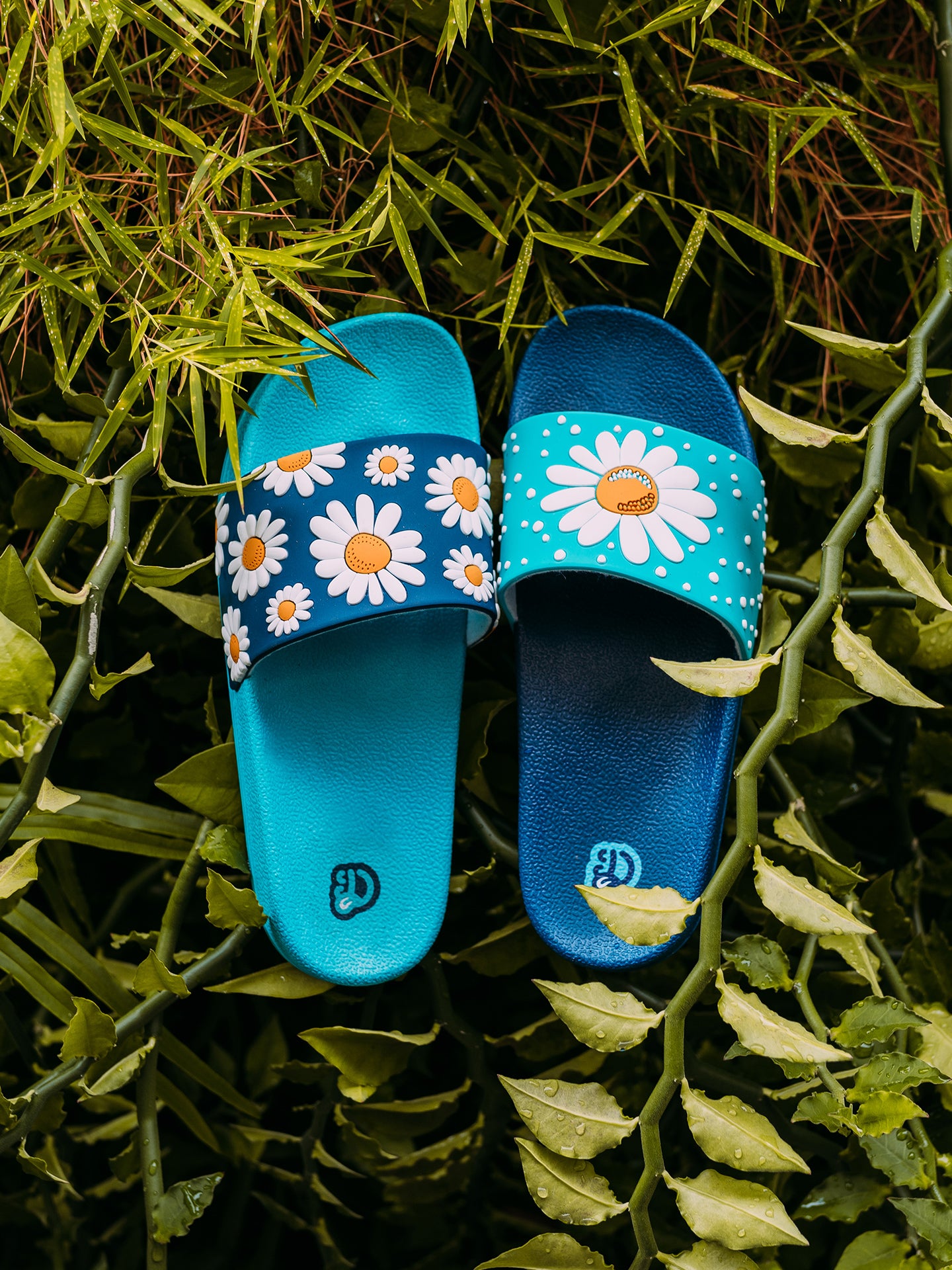 Chanclas alegres Flor de margarita