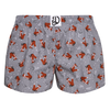 Calzoncillos alegres para mujer  Zorro