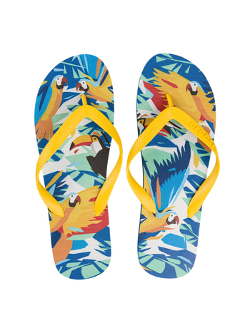 Chancletas alegres Pájaros tropicales