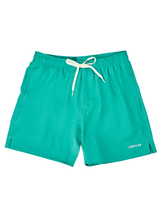 green-turquoise-mens-swim-shorts-b3/b3292bb5fa3bcfd3f4a64a10397257c84d6e9353