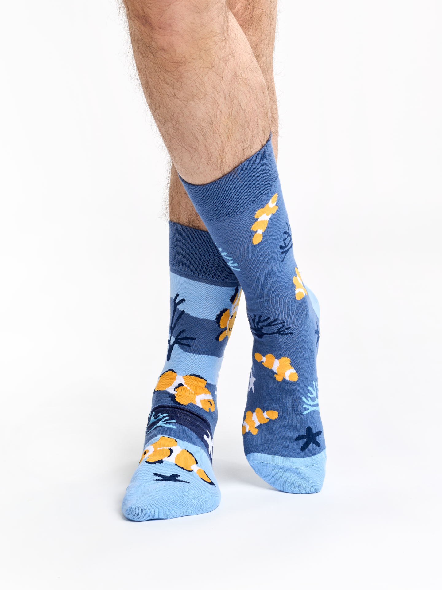 regular-socks-clown-fish-17/17a22086f6e4c44524f492895cdf70a9fe99469e