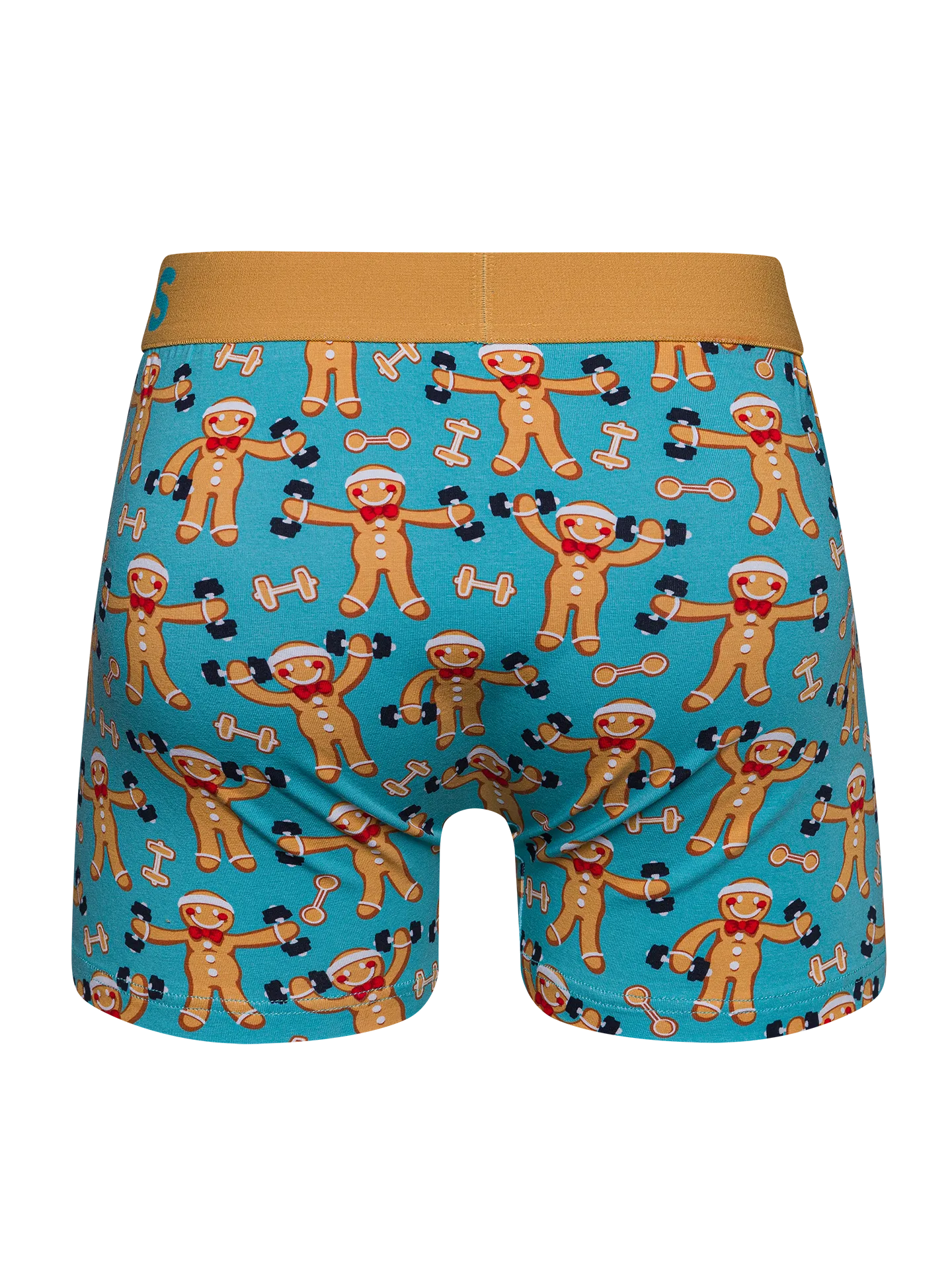 mens-trunks-christmas-calories-d4/d4ee522dbaf2d40023baffe117b2930723a40b29