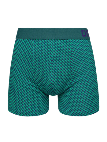Bóxeres para hombre estampados en azul y verde