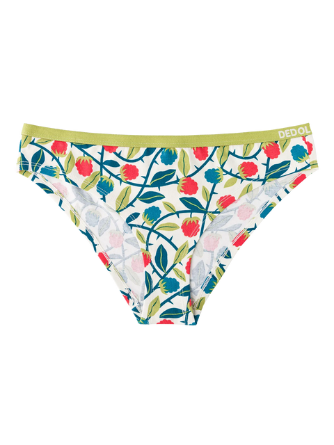 womens-briefs-raspberries-1-40/4045c2771d5a63c2d229c71a12af2741bbba05d3