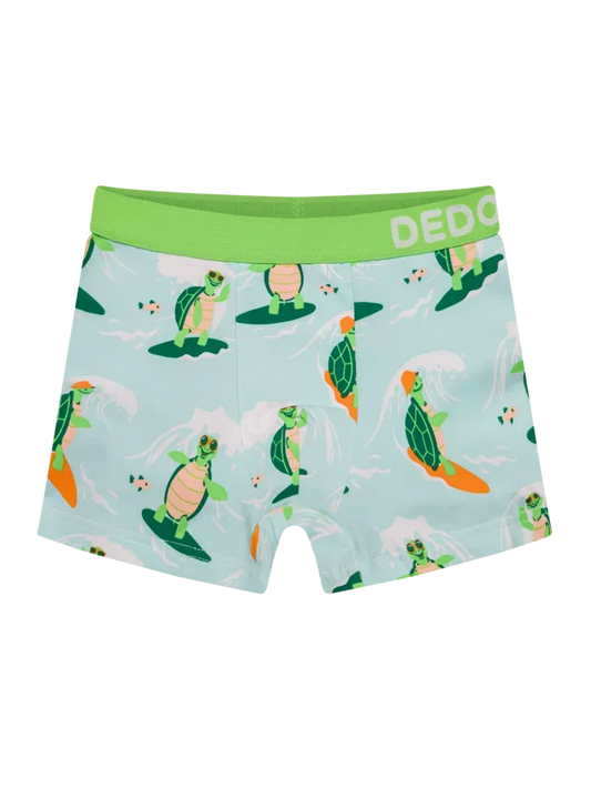 boys-boxers-turtle-the-surfer-d8/d8a42b952c084a26f81233b2f4cb1db7a5ea9964