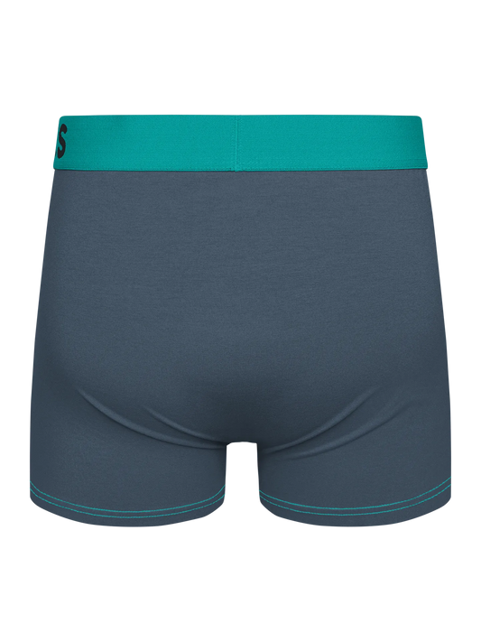 grey-turquoise-mens-trunks-42/42eed90b96f21d2ed5e320c952ff101e203bc2cf