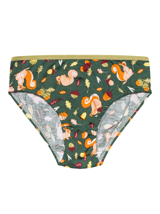 girls-briefs-squirrel-4c/4c892905a5e86d708a5e4f6e007d68fc93596516