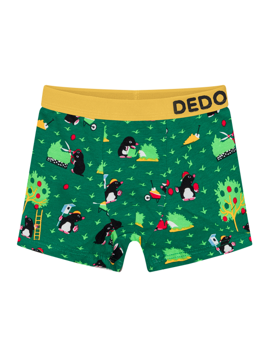boys-boxers-mole-okt-18/18f81b10f32c6abebb12d19b7fc0478c3f5a1b60