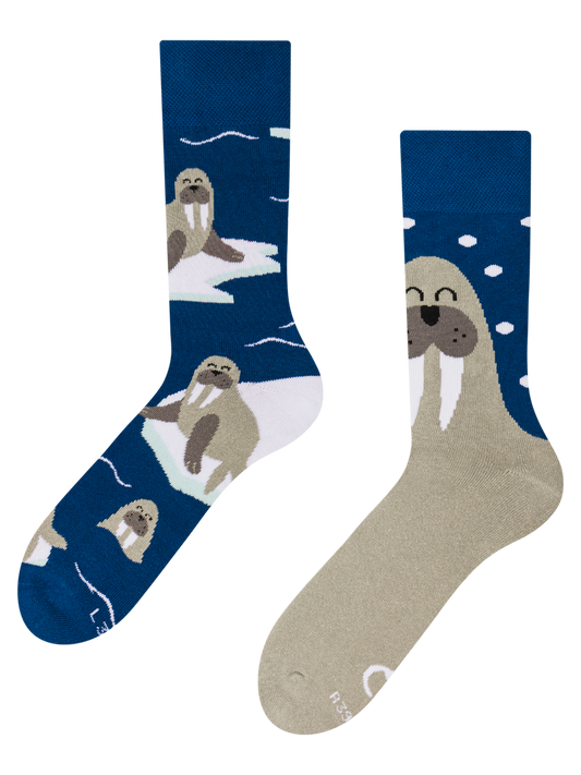 warm-socks-walrus-70/70233eedb48a2ad5b327e8c062a210d9655db301