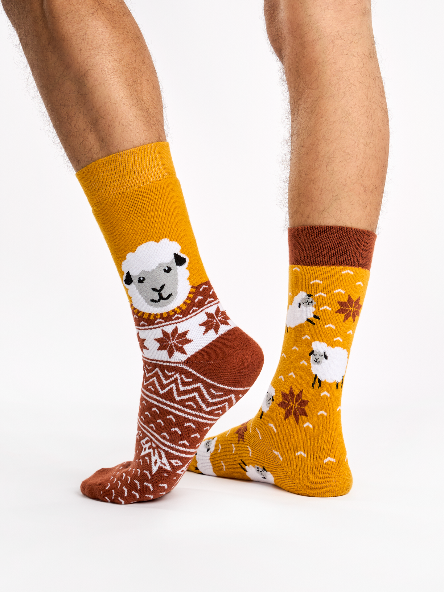 warm-socks-sheep-in-a-sweater-b8/b8adb767f6339857b0240f78cb327364cd9aba85