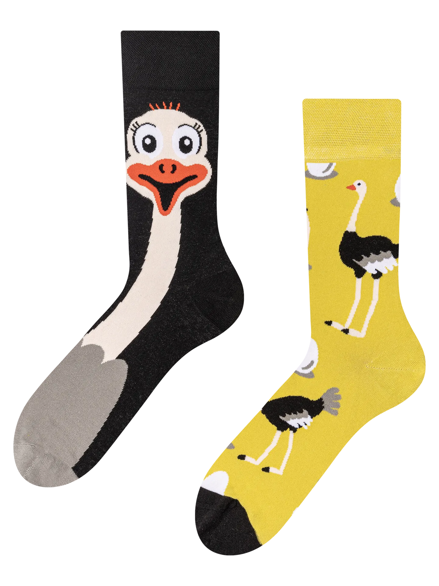 regular-socks-ostrich-02-56/56e9d4d5788f4c3fda3891919197b1489d395e87