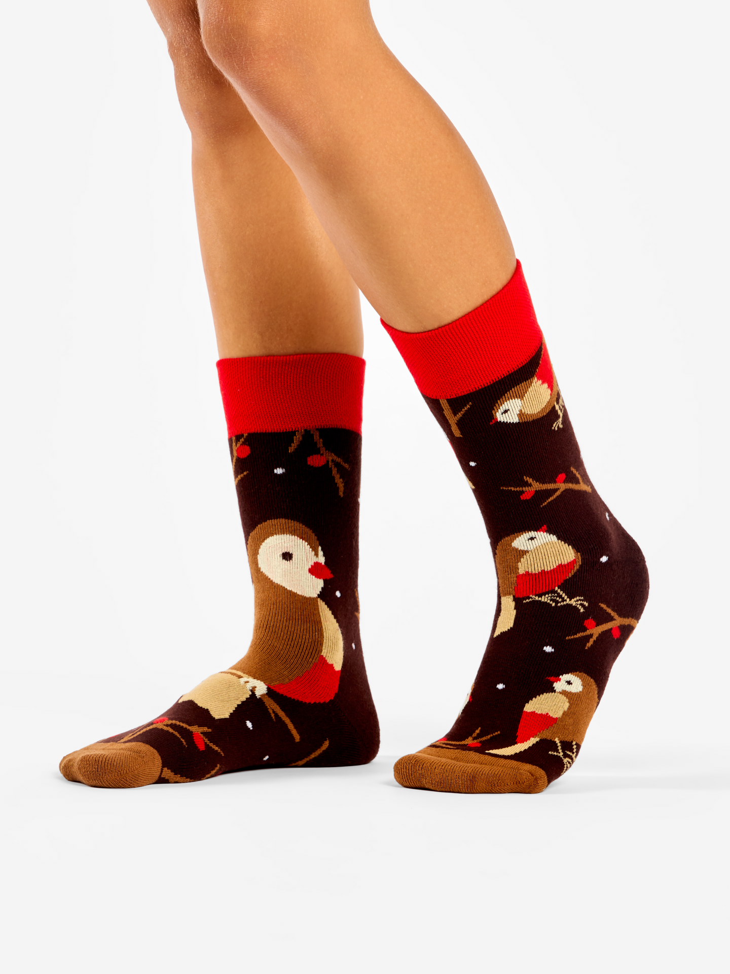 warm-socks-bird-on-a-branch-79/79535f146b91295bb75f3f110bbedfed5307669f